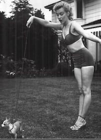 Il bikini compie 70 anni: le vip più sexy 13