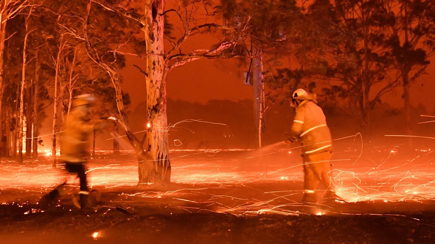 L'Australia brucia ancora e ora ci si rifugia in mare