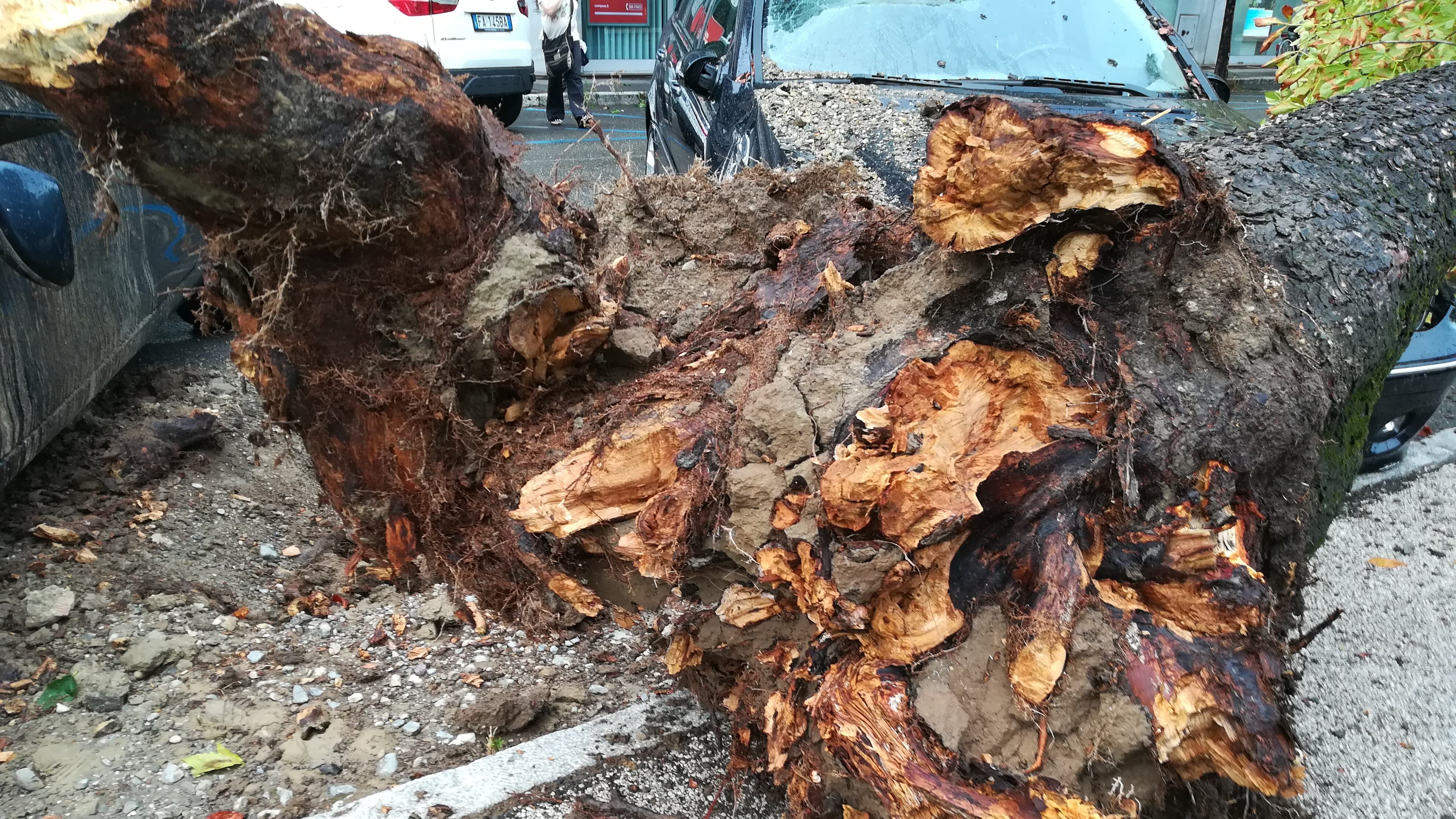 Maltempo al Nord: danni in Lombardia