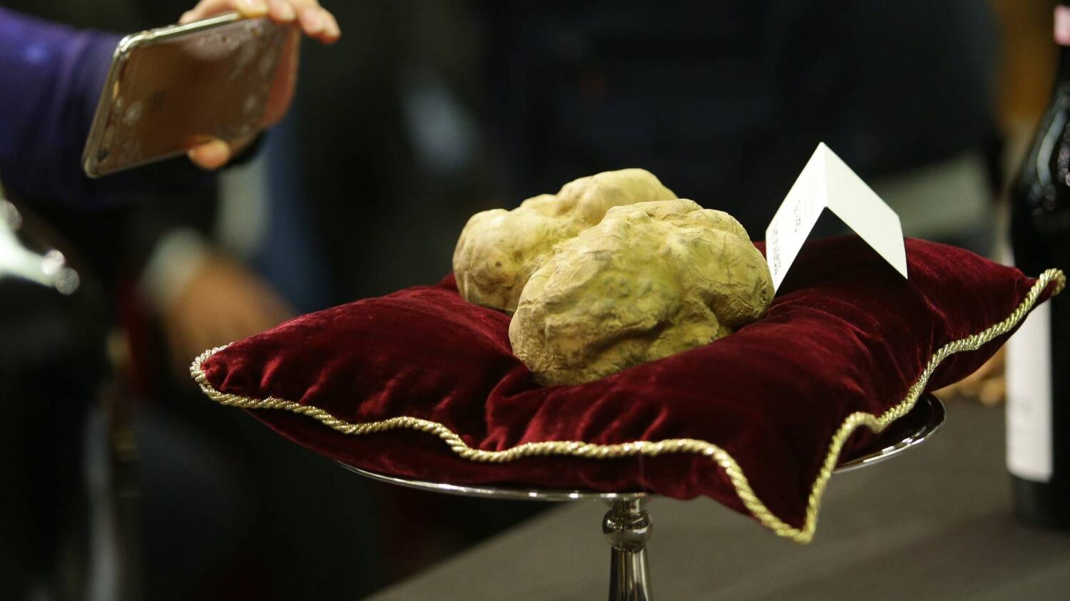 Il Tartufo bianco d'Alba aiuta il fratello umbro