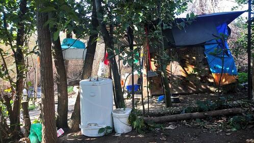 Roma, il degrado del parco naturale del Pineto 10