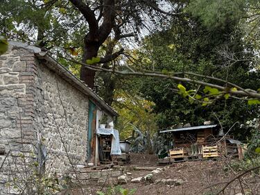 Famiglia nel bosco, le foto della casa a Palmoli 5
