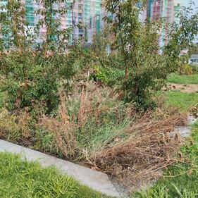 Manutenzione del verde al 'Parco 8 marzo' di Milano 3