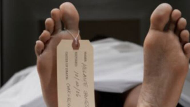 Salerno, formiche ricoprono salma: la denuncia dei parenti