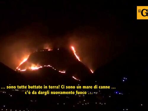 Monreale, appiccava le fiamme ad un bosco ma era un forestale. Arrestato