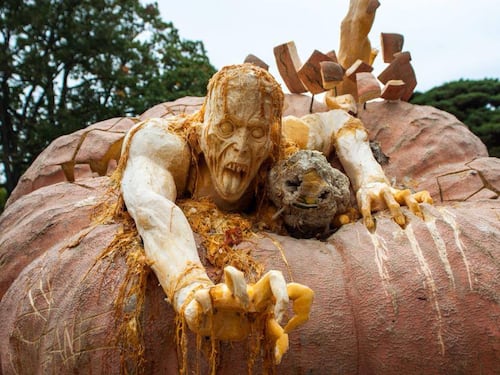 Halloween, ecco le zucche intagliate ad arte