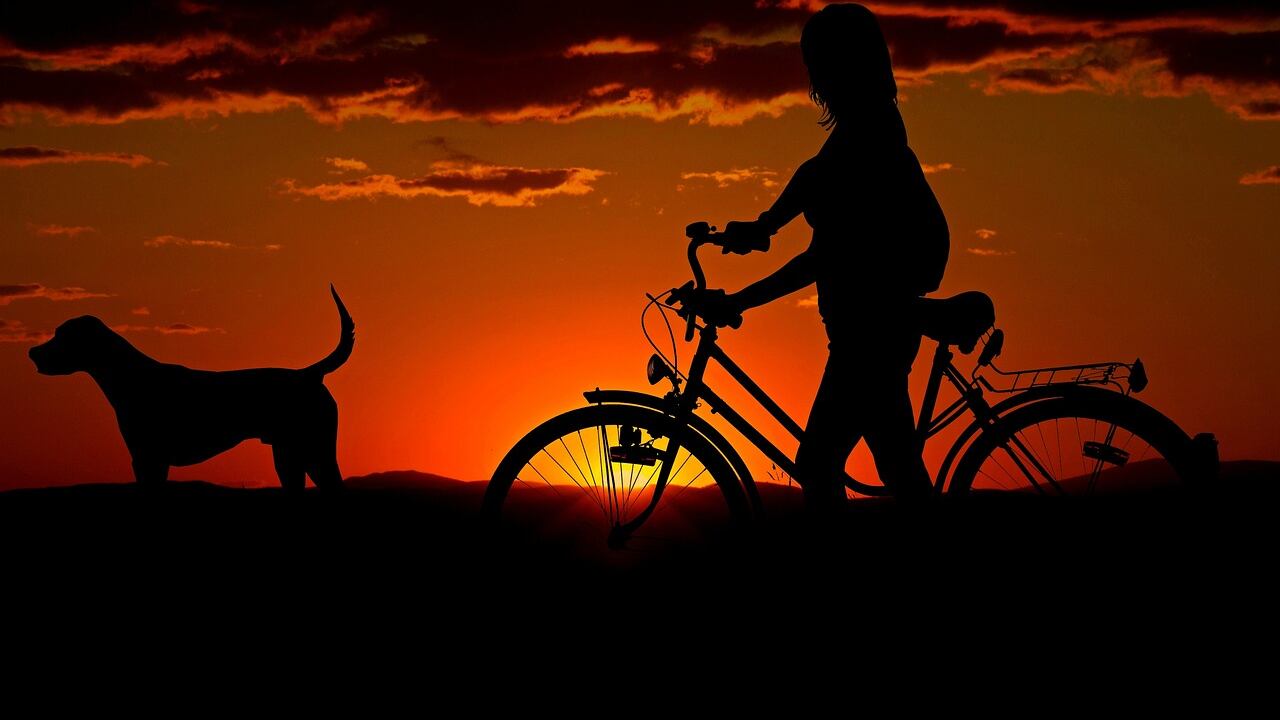 Oggi è la Giornata mondiale del cane: ecco 7 film da vedere per forza
