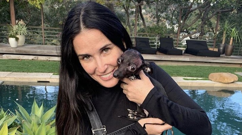 Demi Moore choc: "Stavo per morire e vidi la luce come Sam in Ghost"