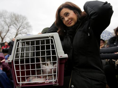 La Boldrini col gatto "Gigibillo" alla Festa degli animali
