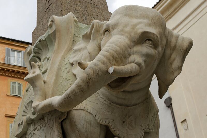Roma, danneggiato l'Elefantino del Bernini 7