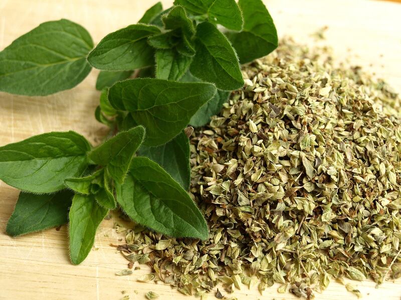 Origano