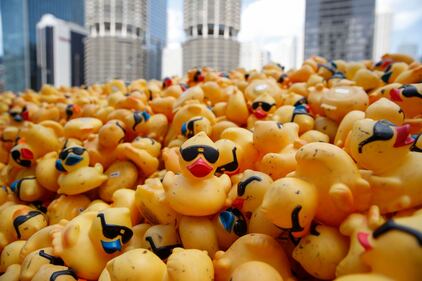 Chicago, un mare di anatre di gomma invadono il fiume 3