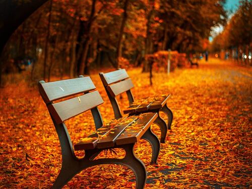 Cambio di stagione autunnale: come contrastare i suoi effetti