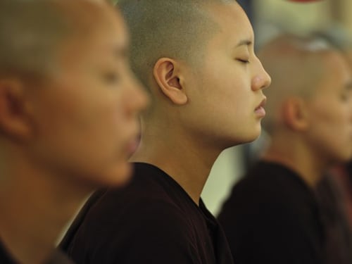 Spade e preghiere: ecco le "armi" delle monache buddiste del Kung Fu