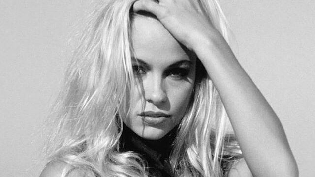 Pamela Anderson vegana sbugiardata