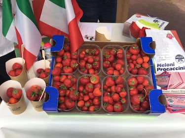 La "fragolata" di Fratelli d'Italia 6