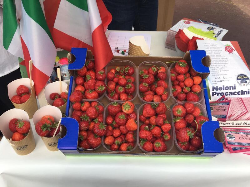 La "fragolata" di Fratelli d'Italia 6