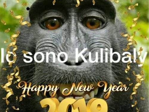 "Io sono Koulibaly" con una scimmia: ora anche gli auguri razzisti