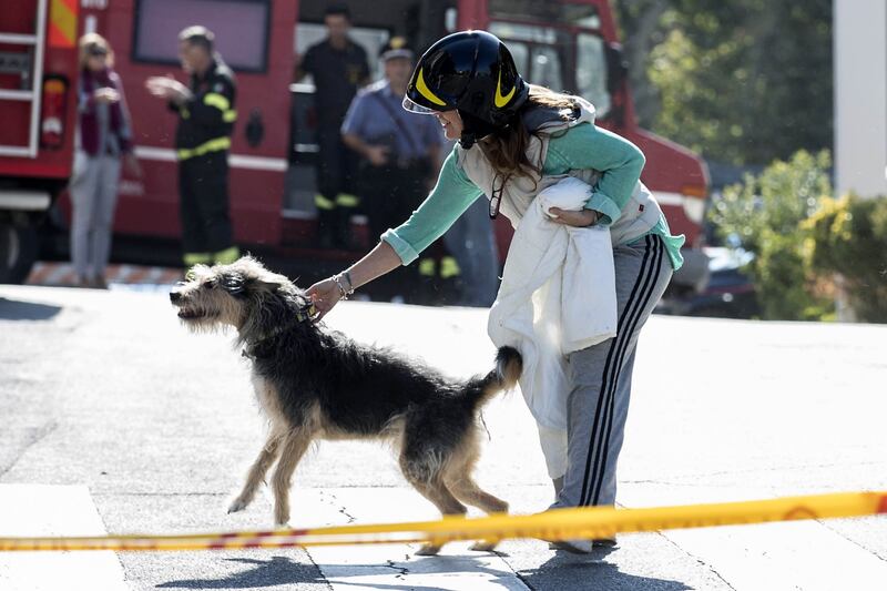 Roma, i vigili del fuoco salvano il cane Billo 4