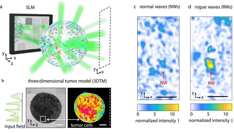 Modalità di utilizzo del raggio laser ad altissima intensità per penetrare la cellula tumorale