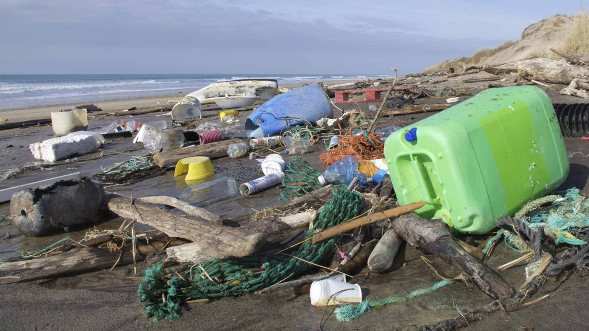 Allarme parassiti sulle coste italiane: "Così ho preso la scabbia"