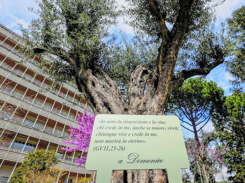 Nelle chat del Monaldi. “Siamo già a tre morti. Qui ci arrestano tutti”