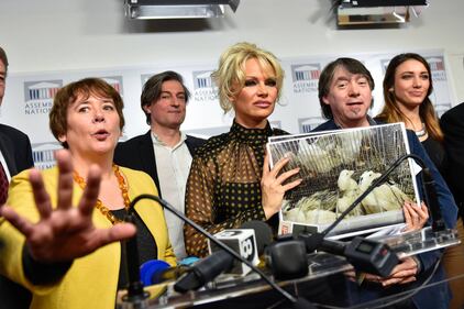 Pamela Anderson contro il foie gras 15