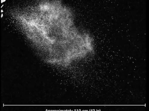 Virus, uno starnuto può creare una nuvola di goccioline infette che arriva a 8 metri (e resiste)