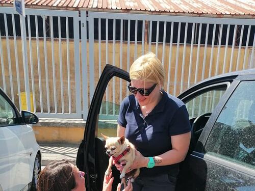 Latina, riabbraccia il cagnolino scomparso da 8 anni