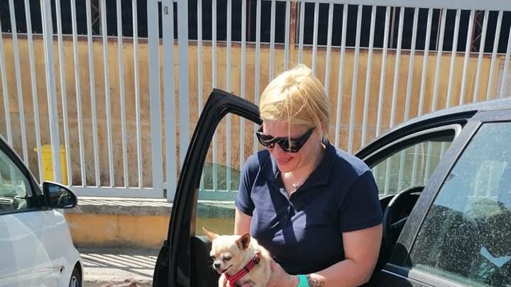 Latina, riabbraccia il cagnolino scomparso da 8 anni