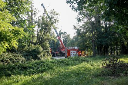 Senago, auto con 9 ragazzi finisce nel canale: morti tre 17enni - FOTO  2