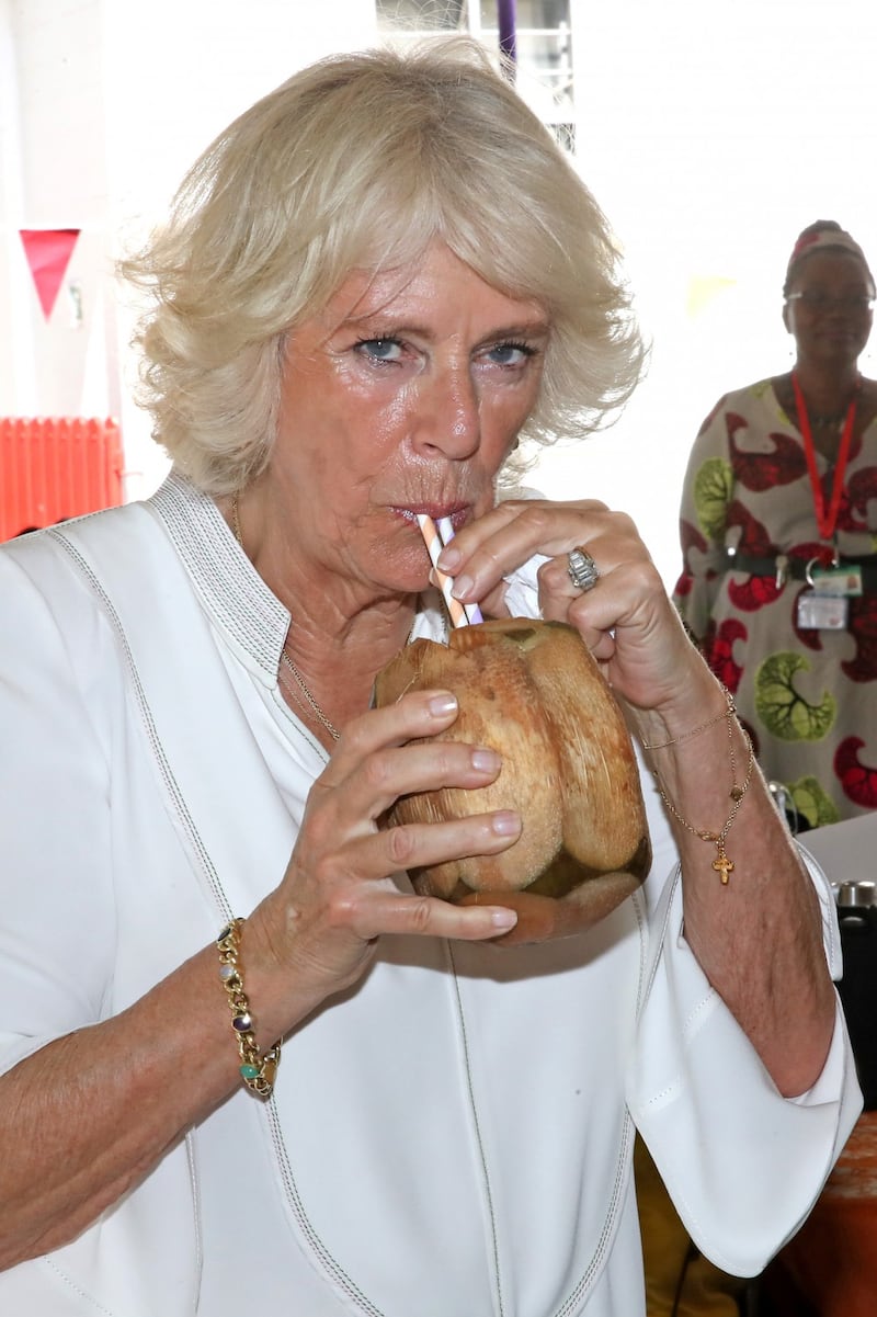 Camilla Parker Bowles, la duchessa di Cornovaglia in foto 6