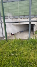 Baraccopoli in periferia a Milano 4
