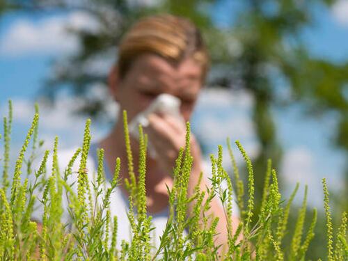 Primavera, tornano le allergie: così possiamo combatterle