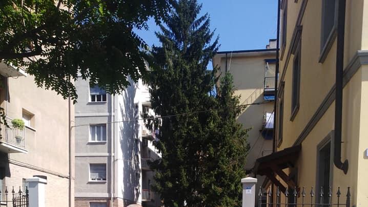 La bimba portata via da casa dai finti operatori dell'Enpa è tornata dai suoi genitori
