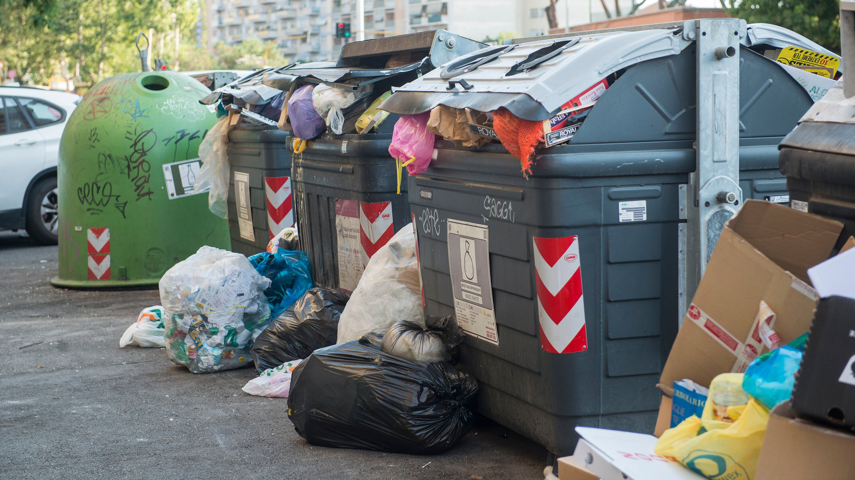 Gaia Tortora: "Roma? Resta uno schifo tra topi e rifiuti. E pure sulla sicurezza: ci vuole l'esercito"