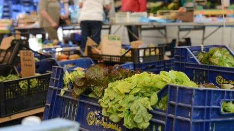 Germania: veleno per topi nell'insalata proveniente dall'Italia