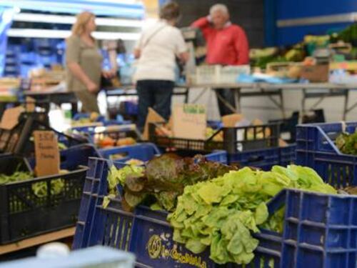 Germania: veleno per topi nell'insalata proveniente dall'Italia