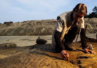 Germania, scoperte impronte giganti di dinosauro 6