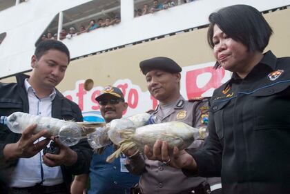 Così esportano i pappagalli dall'Indonesia 11