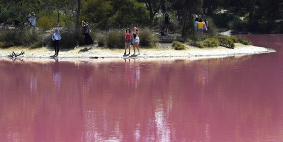 Lago australiano rosa: le foto 7