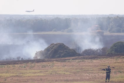 Le immagini dell'incendio scoppiato tra Monte Carnevale e Maccarese, nei pressi dell'aeroporto 9