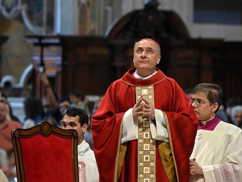 Leone caccia un altro “nemico»“. Gambetti da San Pietro a Chieti