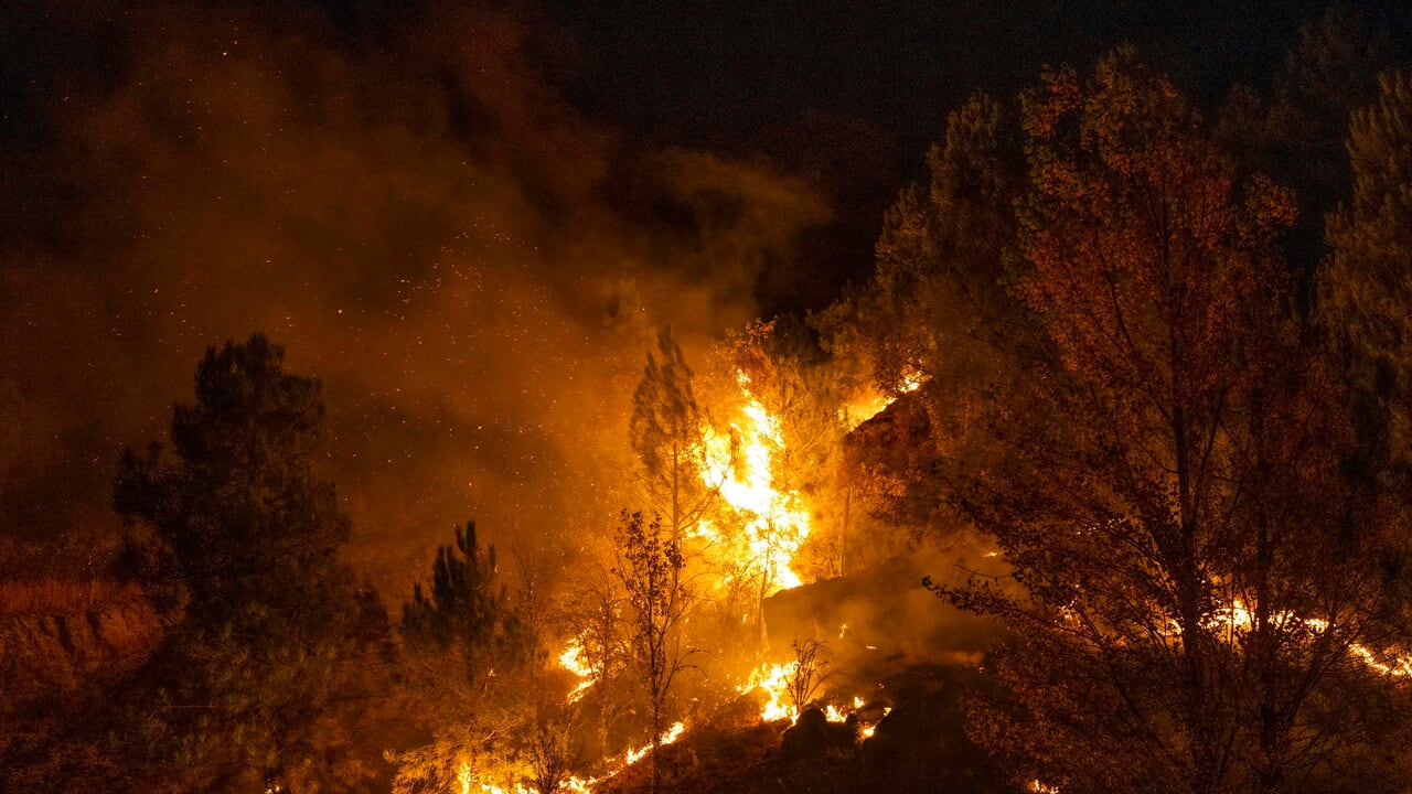 Rogo in Andalusia, turisti in trappola: 12 morti