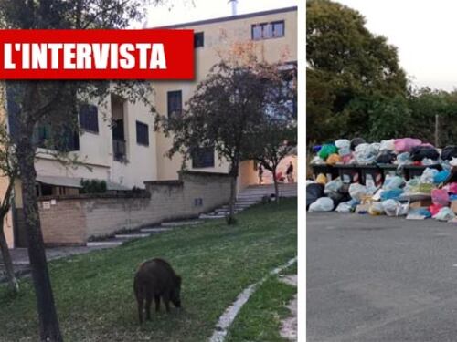"Vermi, topi e cinghiali dentro casa, così la Raggi ci ricopre di rifiuti"