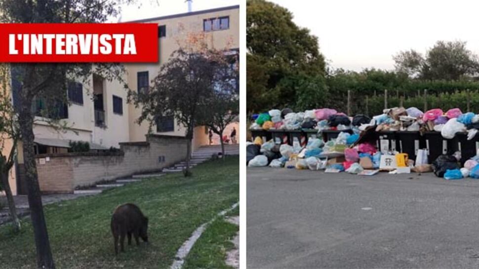 "Vermi, topi e cinghiali dentro casa, così la Raggi ci ricopre di rifiuti"