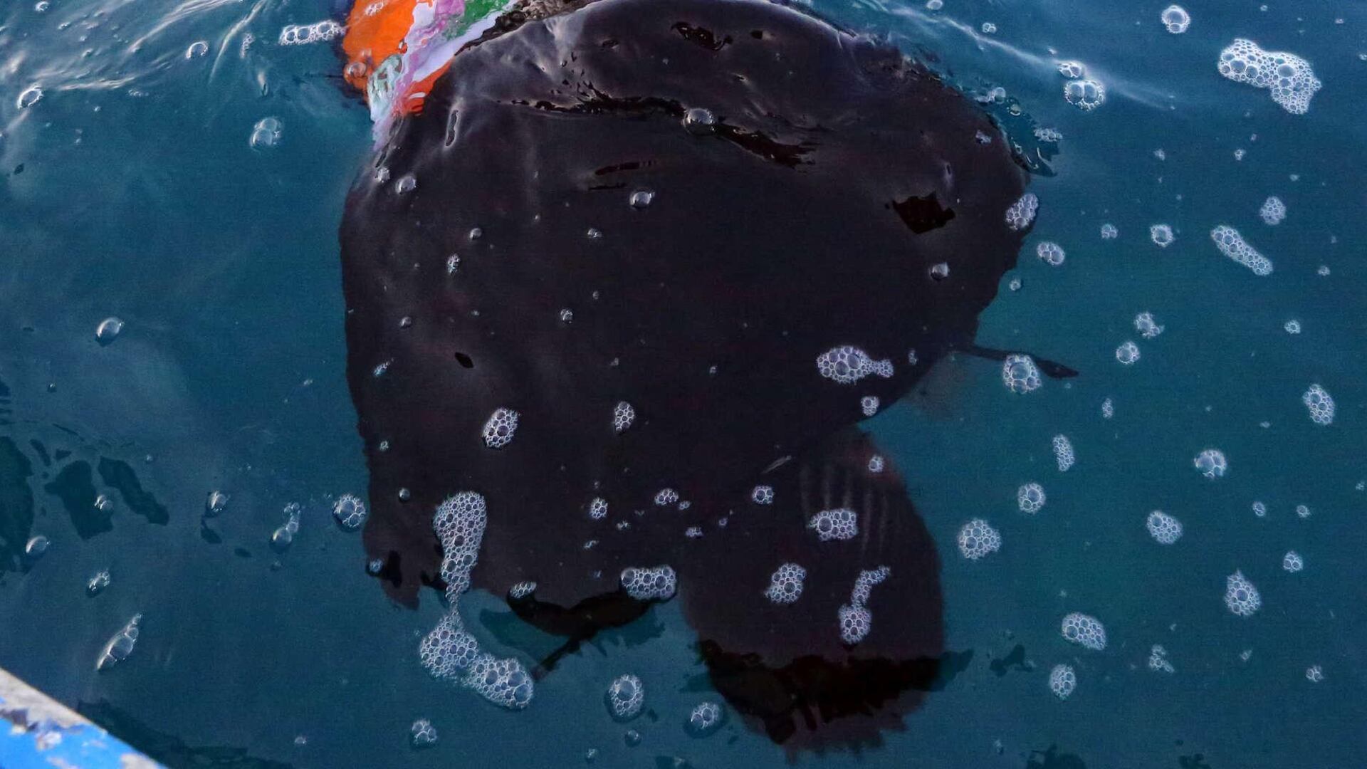 Ancora una strage in mare: la Libia non ferma i profughi