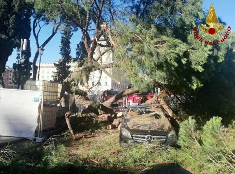 Roma, albero cade in centro e colpisce un'auto in transito 1