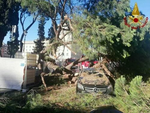 Roma, albero cade in centro e colpisce un'auto in transito