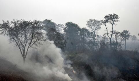 Incendi in Bolivia, le immagini della devastazione 9